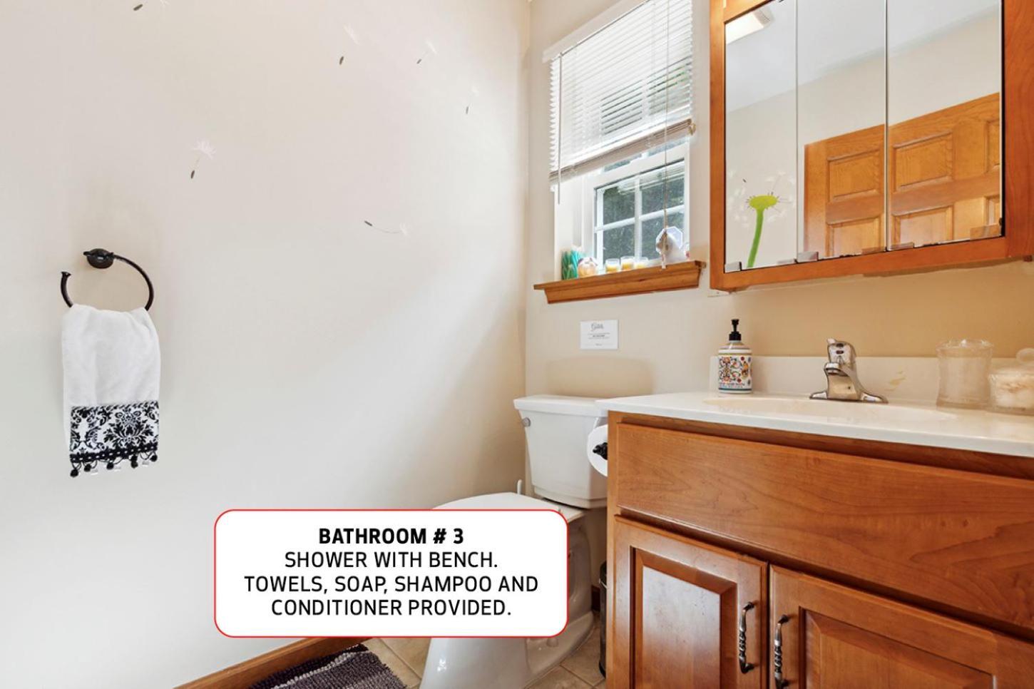 Spacious Home By Kalahari Waterpark, Camelback And Jim Thorpe, Free Ev Station Albrightsville Exteriér fotografie